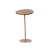 Set Mesas Decocasa Botanic Canela Champagne