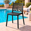 Silla Tuhome Harlem Negra