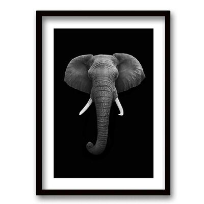 Cuadro Decorativo Retela Elephant BN 40 x 30 cm