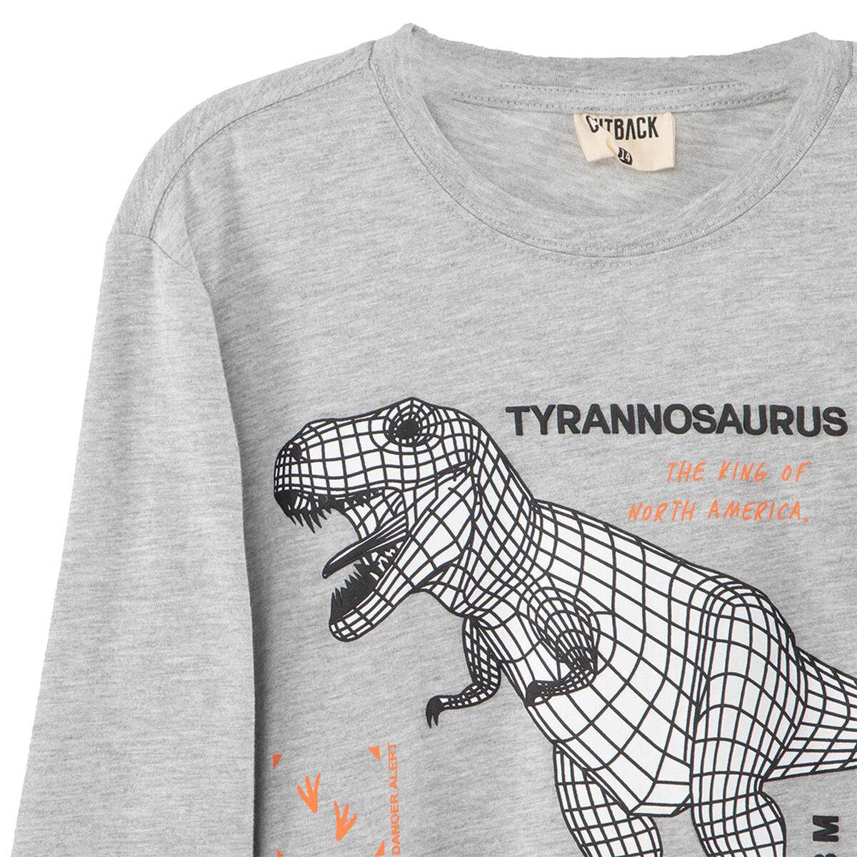 Pijama Dinosaurio de Algodón Niño Cutback