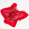 Bandana Fiorucci
