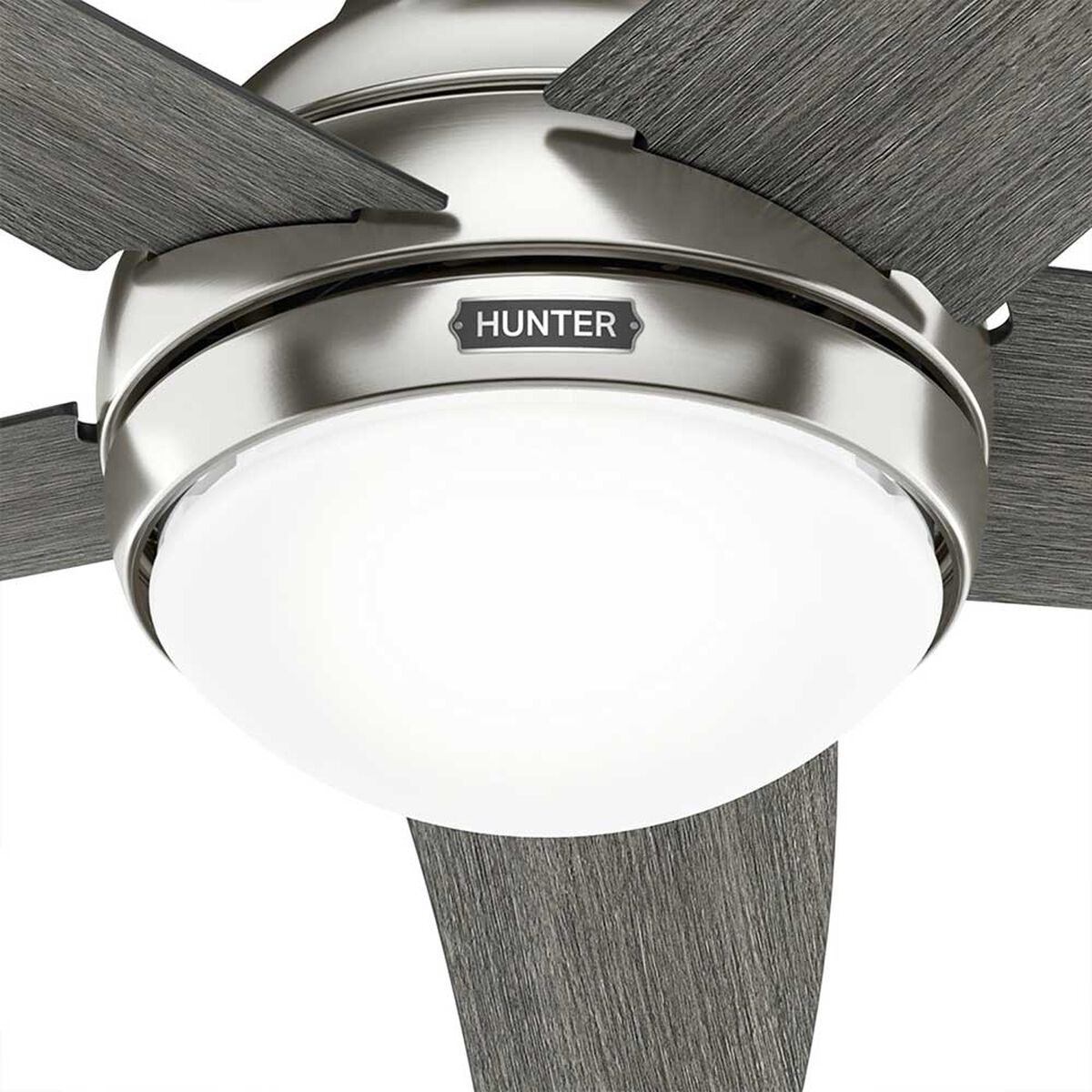 Ventilador de Techo Hunter Bernard