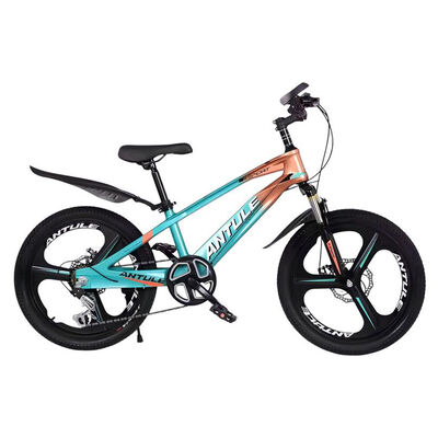 Bicicleta Infantil 10-15 Años Aro 22 Lubabycas Verde