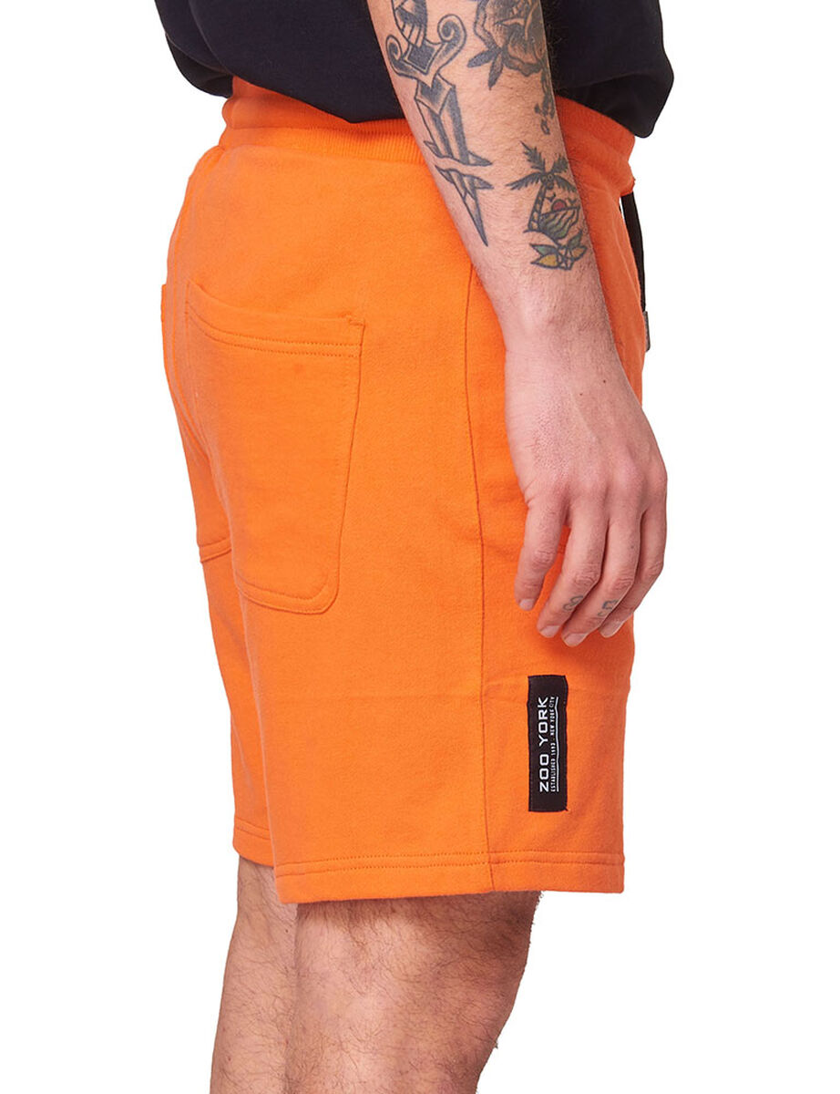 Short Hombre Zoo York