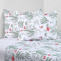 Juego de Sábanas CannonKing 200 Hilos Mangoa