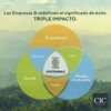 Respaldo CIC 1 Plaza Dublin Alpino