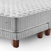 Cama Europea Cannon King Hybrid Cotton + Almohadas Microfibra 50x90 cm