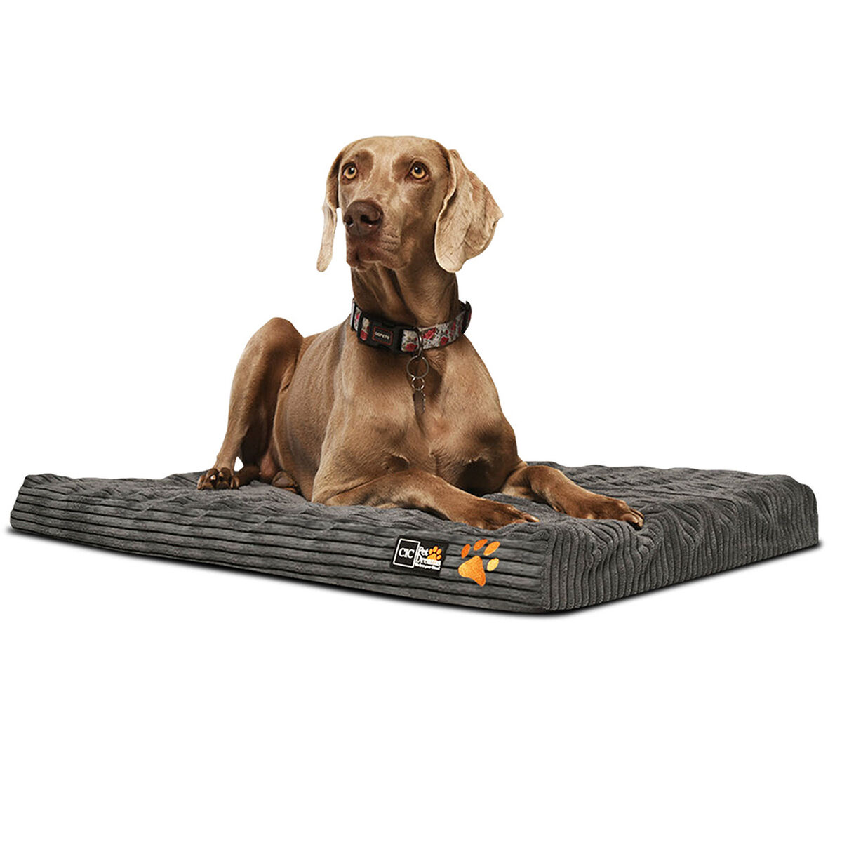 Colchón para Mascota CIC Pet Dreams Talla S