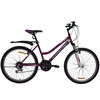 Bicicleta Alpinextrem Lady Aro 24