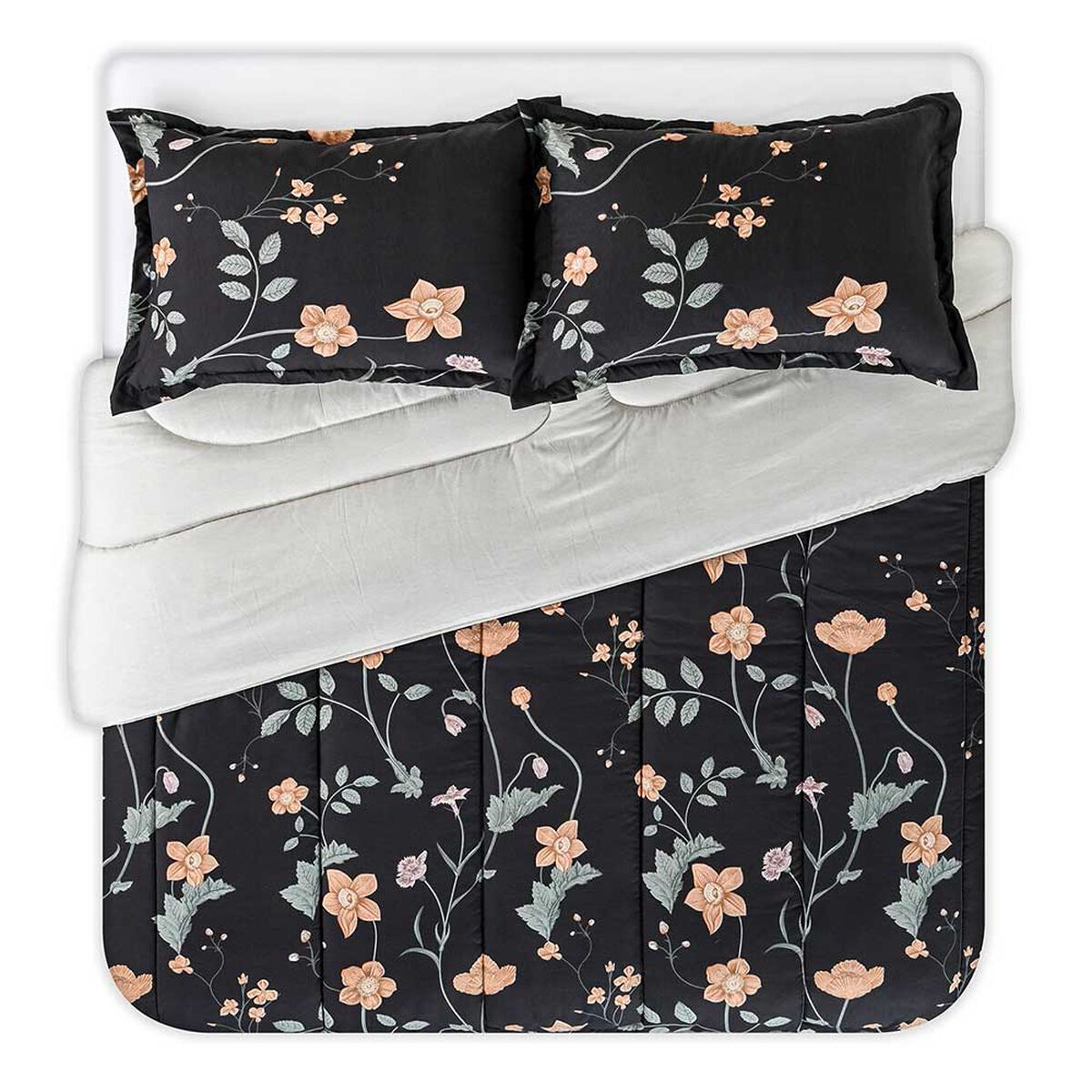 Plum&oacute;n Cannon King Elisse