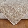 Alfombra Modalfo Florida 300 x 400 cm Beige