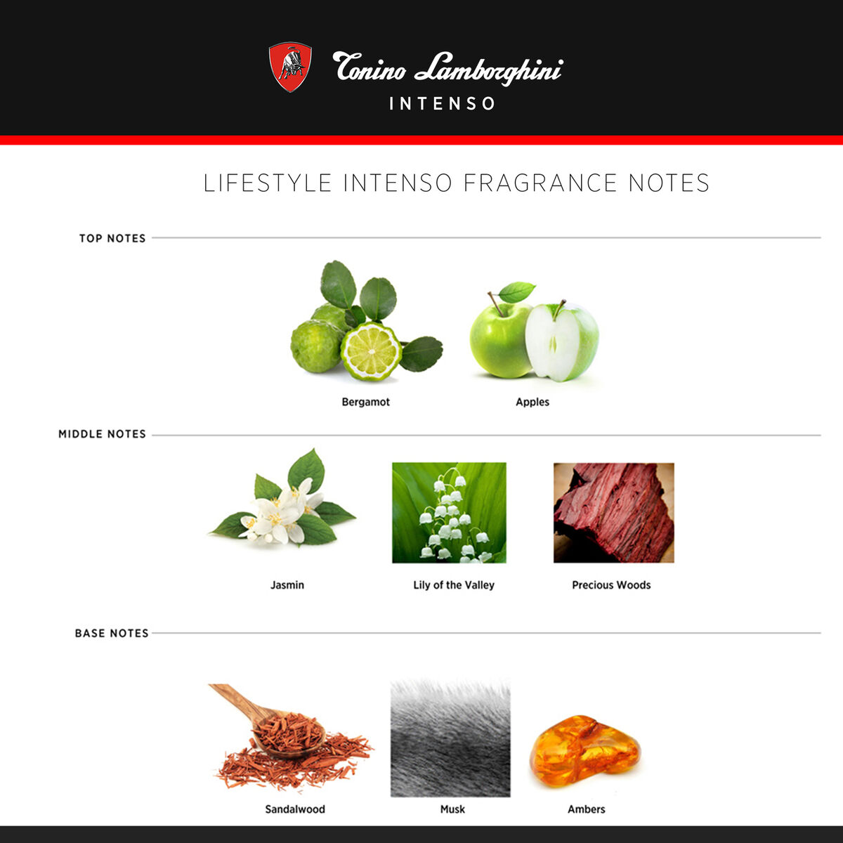 Set Perfume Hombre Tonino Lamborghini Eau de Toilette Prestigio  15 ml + M&iacute;tico 15 ml + Intenso 15 ml + Acqua 15 ml