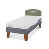 Cama Europea CIC 1,5 Plazas Excellence Plus + Respaldo Gales Olivo