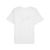 Polera Urbano Hombre Puma