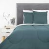 Set Plumón Bicolor + 2 Cojines Casanova 1,5 Plazas Verde Menta