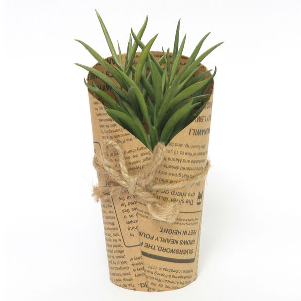 Mini Cactus Vgo 13X7.5 Cm Marrón