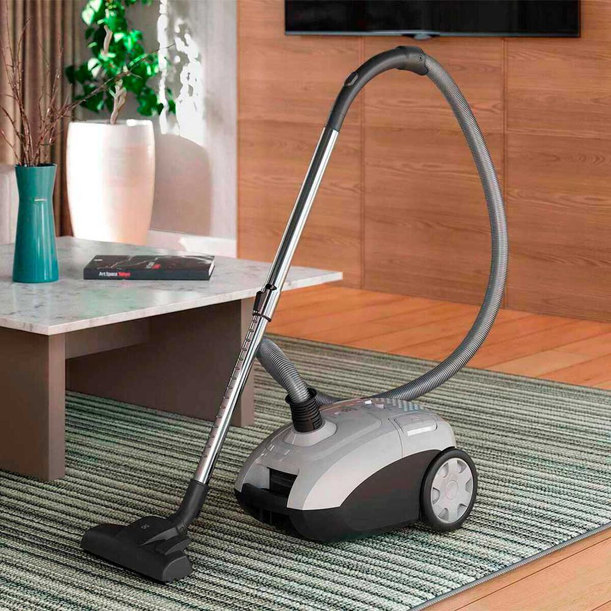 Aspiradora de Arrastre Electrolux Sonic Pro BGG30