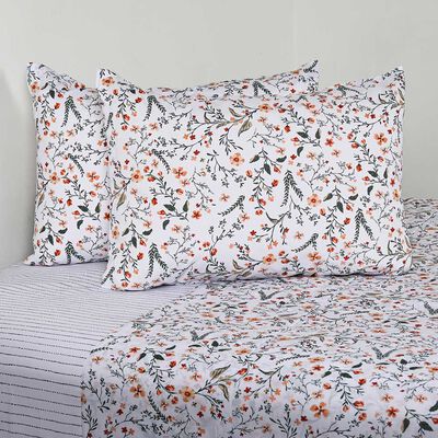 Imagen 1 del producto Juego de Sábanas American Family 144 Hilos 2 Plazas Sarah Verde