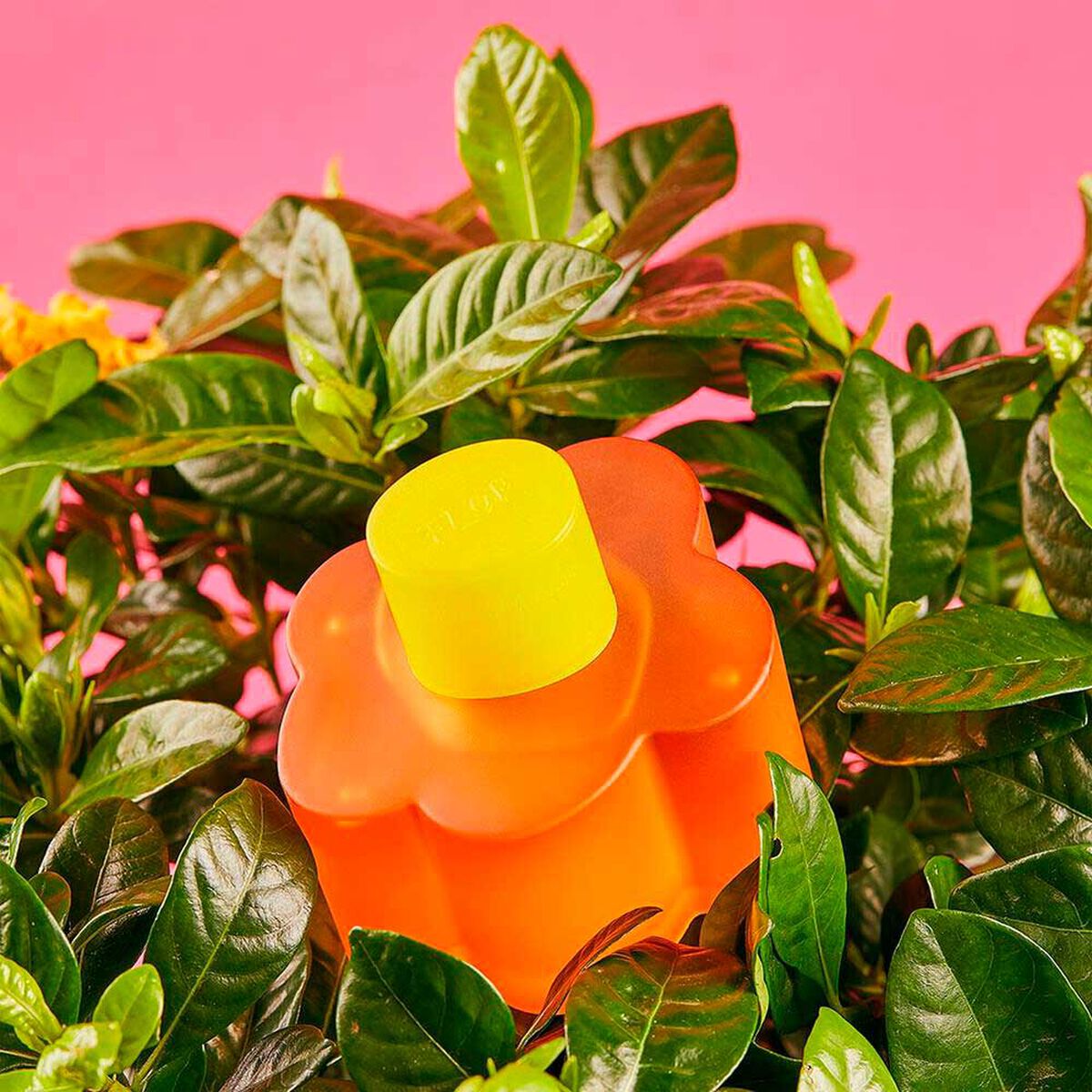 Perfume Agatha Ruiz De La Prada Flor EDT 100 ml