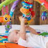 Gimnasio Interactivo Playgro
