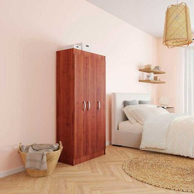 Imagen 2 del producto Clóset Pasco 3 Puertas