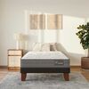 Cama Europea CIC 1,5 Plazas Anatomic + Respaldo Munich Mostaza