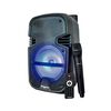 Parlante Bluetooth Fujitel BT8200L Karaoke Negro