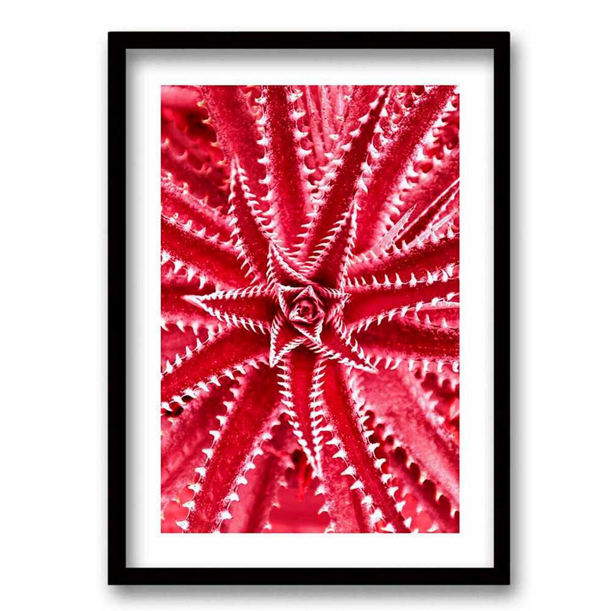 Cuadro Decorativo Retela Estrella Mar 50 x 35 cm