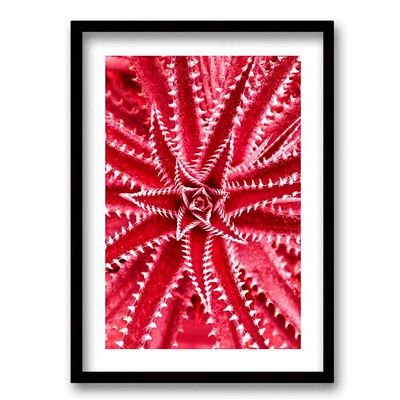 Cuadro Decorativo Retela Estrella Mar 50 x 35 cm