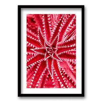 Cuadro Decorativo Retela Estrella Mar 50 x 35 cm