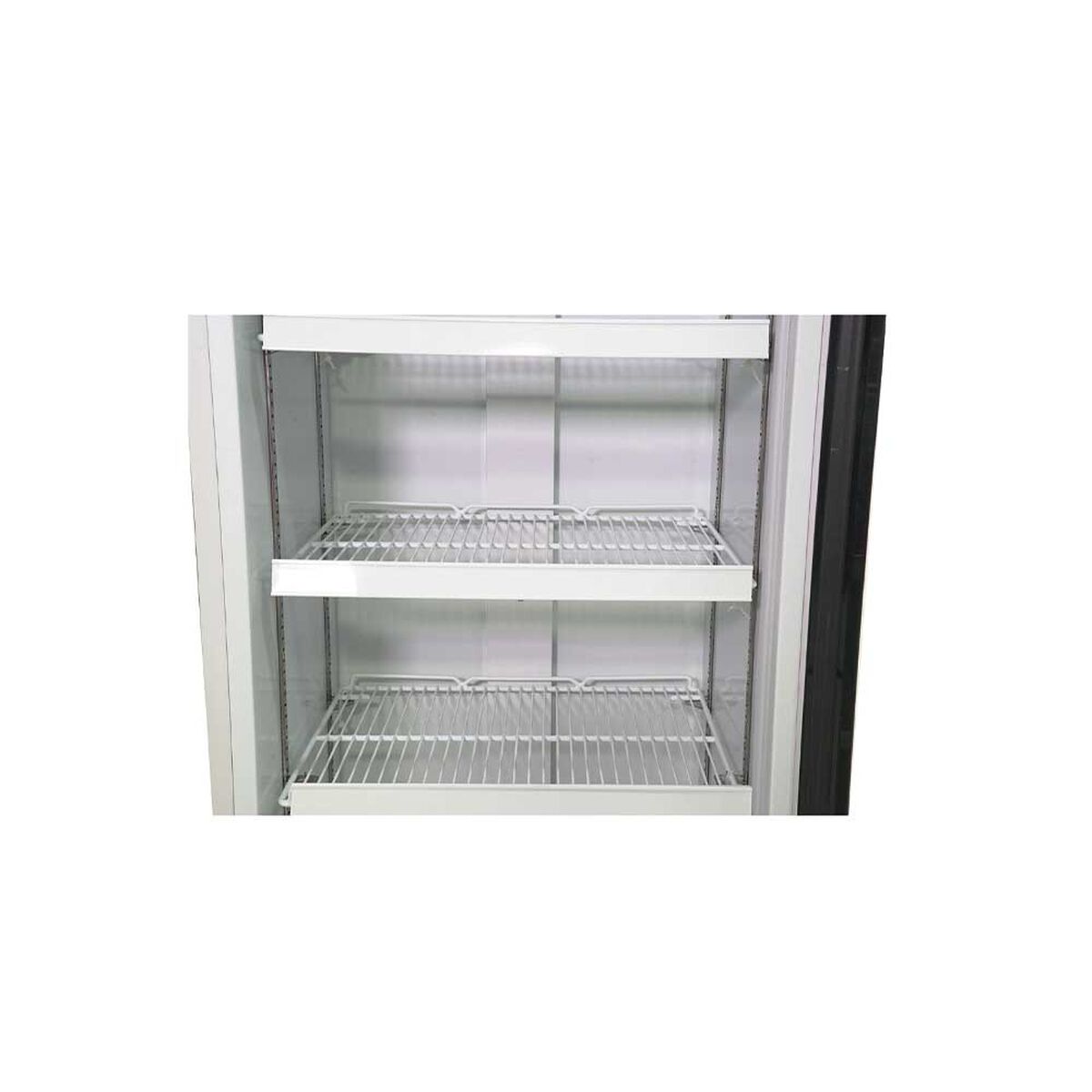 Visicooler Maigas LG370 370 lts.