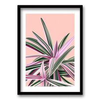 Cuadro Decorativo Retela Botánica 70 x 50 cm