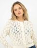 Sweater Crochet Mujer Icono