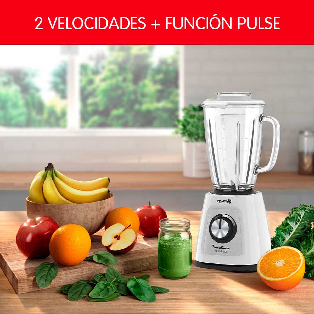 Licuadora Moulinex LM435110 1,75 lts.