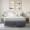 Cama Americana CIC Base Dividida 2 Plazas Excellence Plus + Plumón