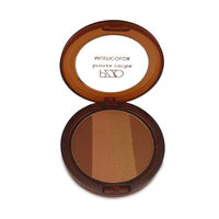 Polvo de Rostro Petrizzio