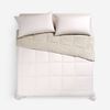 Plum&oacute;n Rosen 2 Plazas Sherpa Liso Beige