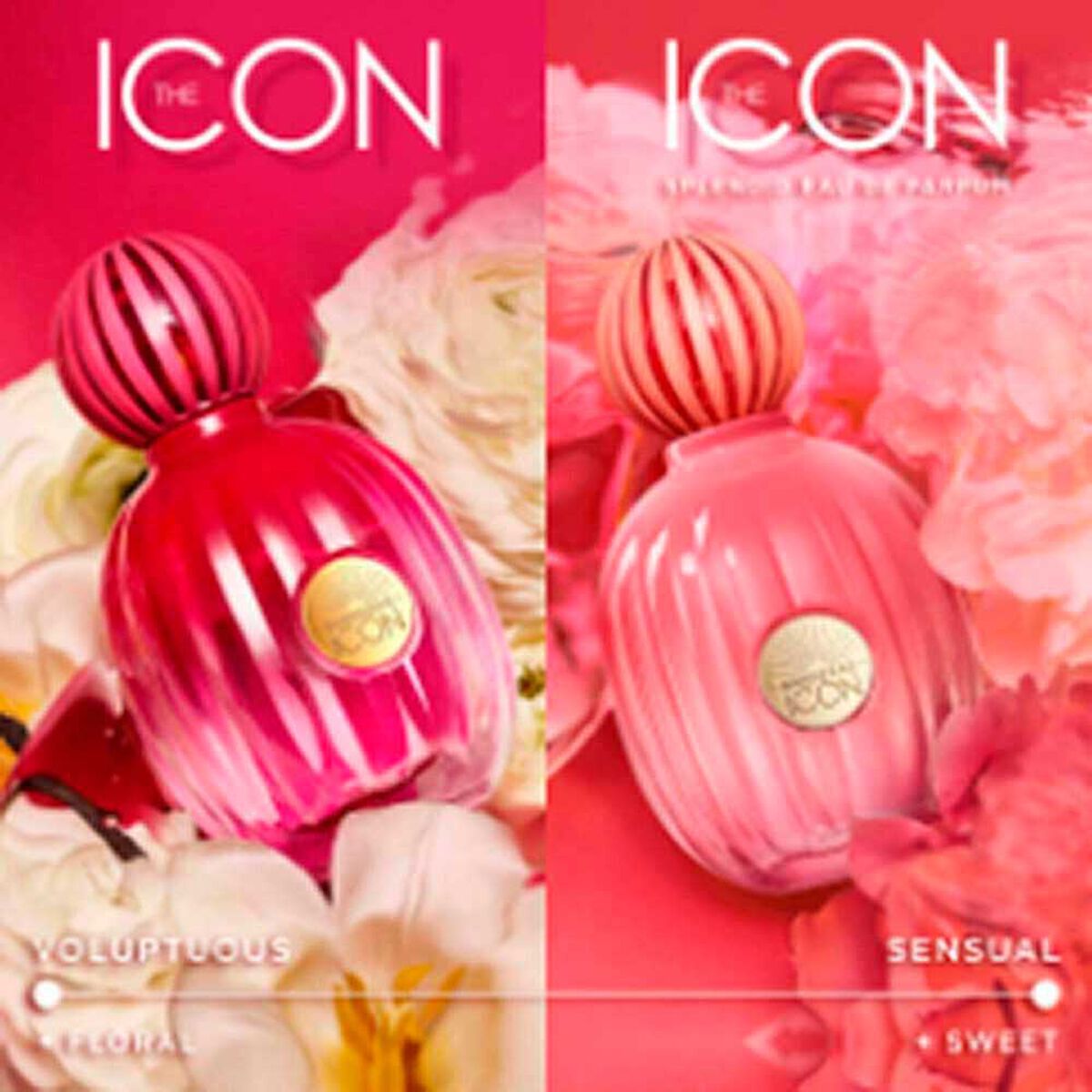 Perfume Mujer Antonio Banderas The Icon Splendid EDP 50ml