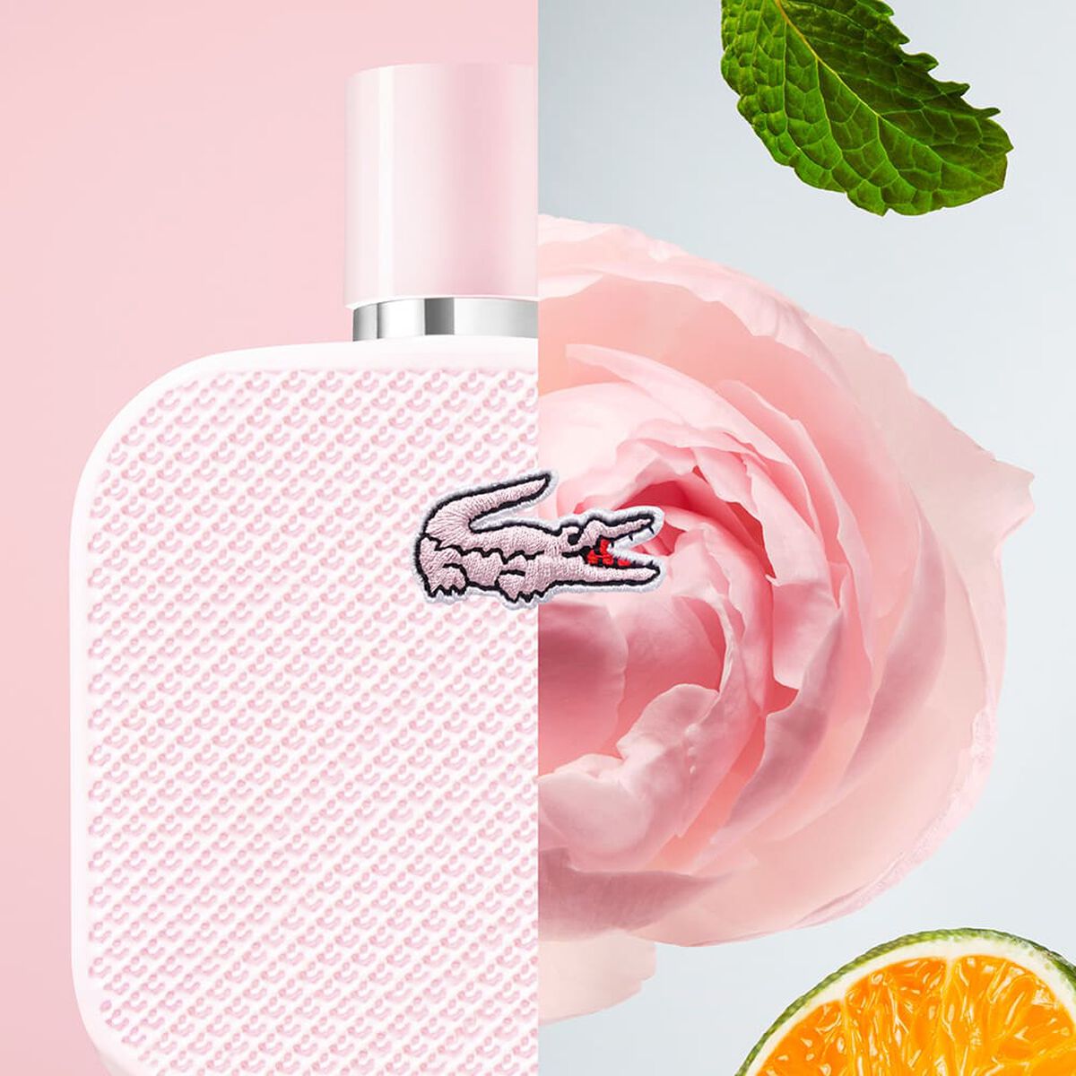 Perfume Lacoste Rose EDP 100 ml
