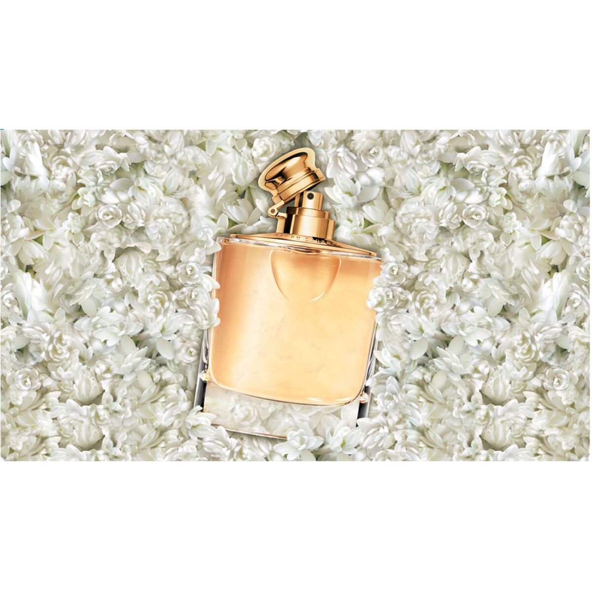 Perfume Ralph Lauren Woman EDP 50 ml