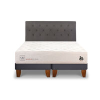 Cama Europea CIC Base Dividida 2 Plazas Cocopedic