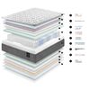 Cama Europea Cannon Base Dividida Súper King Silence