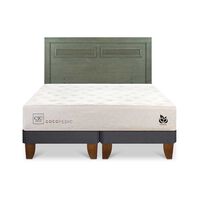 Cama Europea CIC Base Dividida King Cocopedic + Respaldo Milan Olivo