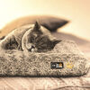 Cama para Mascota CIC Pet Dreams Talla S