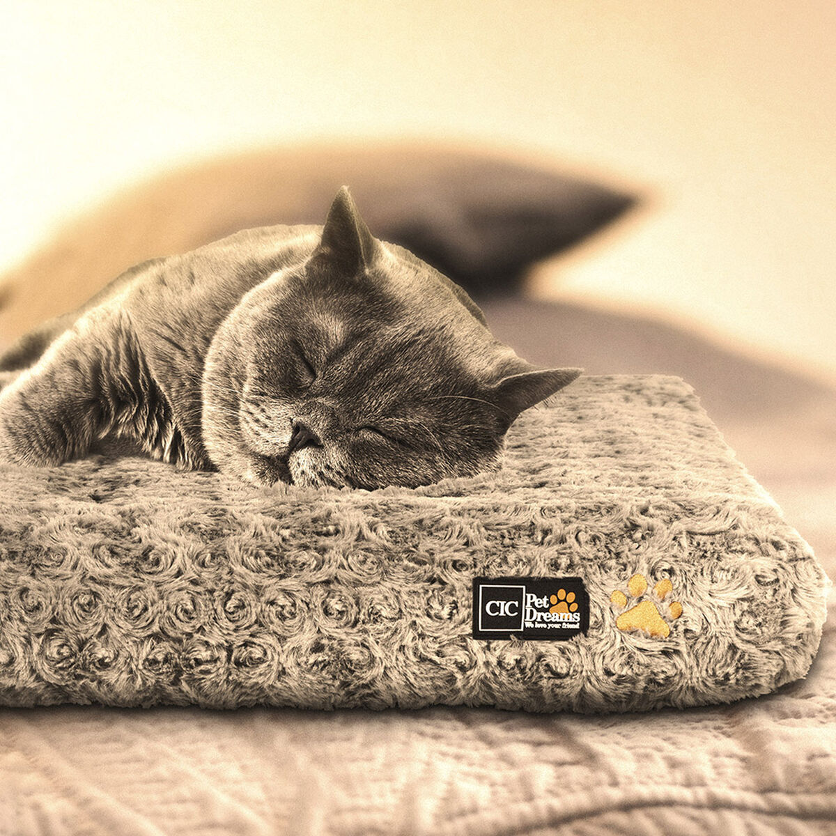 Cama para Mascota CIC Pet Dreams Talla S