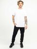 Polera Deportiva Hombre Lotto