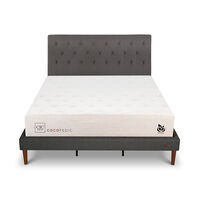 Cama Europea CIC Base Normal King Cocopedic