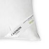 Almohada Cannon 15% Pluma 50 x 90 cm
