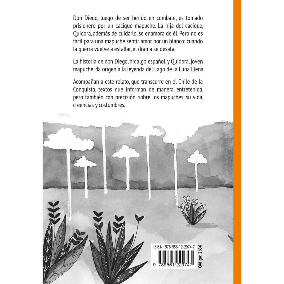 Libro Quidora, Joven Mapuche Jacqueline Balcells; Ana María Güiraldes Zig-Zag