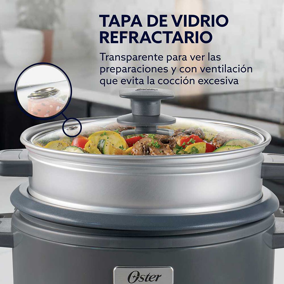 Arrocera Oster CKSTRC10DFSKE-052 2 lts.